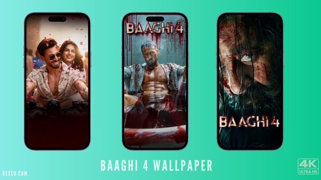Baaghi 4 wallpaper