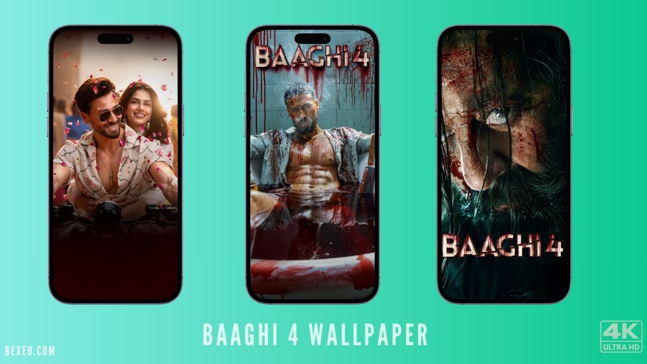 Baaghi 4 wallpaper